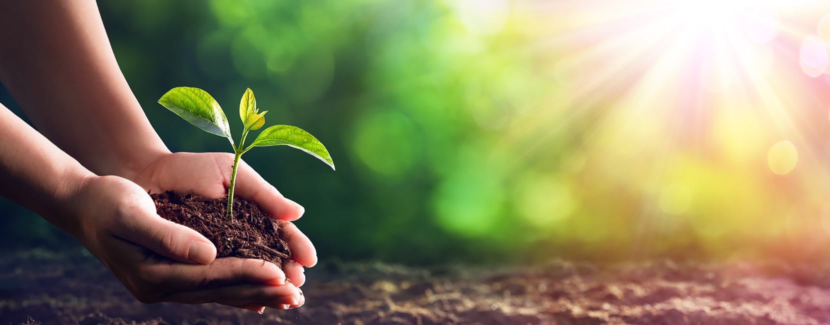 ����������(�й�)������-�й�����